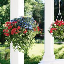 To help our gardening friends, we have compiled a short list of the best kinds of flowers for hanging baskets. Hanging Flower Baskets 5 Secrets The Pros Use The Garden Glove