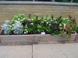 Maybe you would like to learn more about one of these? Eastern Illinois University H F Thut Greenhouse The Secret Garden