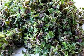 Mancarica de urzici, mancare de urzici cu usturoi (reteta video), ciulama de urzici, mancare de urzici ( ca la mama ingrediente : Ciorba De Urzici Cu Orez Diva In Bucatarie