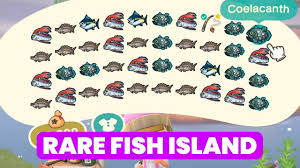 How to increase happy home academy rank in animal crossing: Big Rare Fish Mystery Island Animal Crossing New Horizons Youtube
