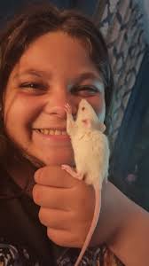 Bonding with pet rats and their owners