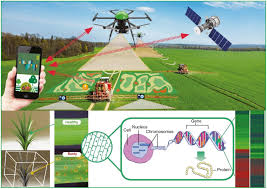 While the nerve and blister agents are predominantly only manufactured and used by militaries as weapons chemical weapons affecting the nervous system are called nerve agents. Innovative Technologies For Chemical Security