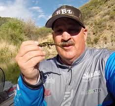 BBZ Content — Welcome To The BBZ World