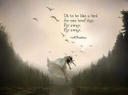 Fly away is not an educational film, even though it educates. Fly Away Quotes For Spiritually Minded People