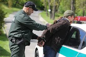 Kredit umožní i stahování neomezenou. Policajne Pripady