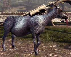 Bring a human to the ragdoller test center the limb ragdoller will allow the goat to. Hitchhiker Goat Official Goat Simulator Wiki