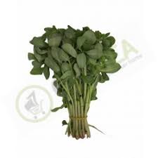 Recipe of speedy scent leaf and water leaf soup this is recipe so trending you must attempt no. Fresh Water Leaf Bundle