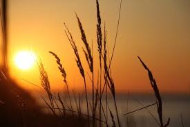 Die großzügige ferienwohnung dünenblick befindet sich im haus undine in erster reihe zum strand. Ferienwohnung Warnemunde Ferienwohnung Dunenblick Ref 217438 Im Haus Undine