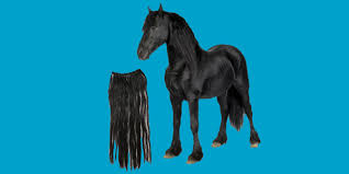 The most expensive wigs, hairpieces, and extensions are made from the method used to secure hair extensions to the client's hair by sewing is Horse Hair Extensions