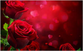 2 day free shipping on 1000s of products! Red Rose Wallpaper Hd Full Sdownload