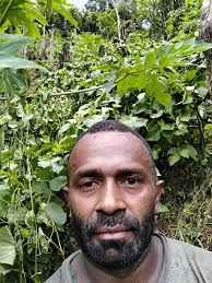 PRICE CONFIRM: Naitauvoli Village WAKA: $50.00 WHITE LEWENA: $25.00 BLACK  LEWENA: $15.00 WHITE KASA: $5.00 CUT PIECES: $10.00 We are happy about the  price, because all around Fiji the Naitasiri Kava is