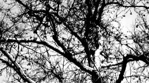 Share on facebook | twitter. Apathetical Syndrome Odinochestvo Youtube