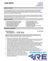 Resume Templates Infographics Traditional