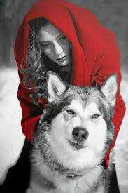 Unduh dan gunakan 10.000+ foto stok anjing husky secara gratis. 900 Favorites Variety Ideas Me Quotes Sons Of Anarchy Samcro Anarchy Quotes