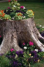 Lalulutres Idee Pour Ajouter De La Couleur A Une Souche D Arbre Md Idees Jardin
