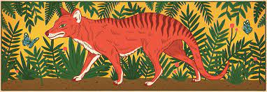 The Obsessive Search For The Tasmanian Tiger The New Yorker