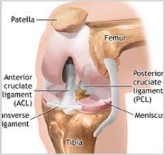 Best Knee Replacement Surgeon Doctor In Ahmedabad Gujarat Jaipur Udaipur Kishangarh Rajasthan India Tkr Total Knee Replacement Surgery Cost In India Knee Replacement Latest Technology Best Partial Robotic Knee Replacement Implants Tkr