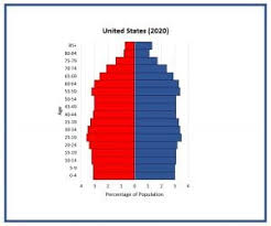 Economy added a minimum of 56,000 jobs (february 2019) and a maximum of 312,000 jobs (january 2019). What Are The Different Types Of Population Pyramids Population Education