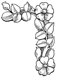 Flowers Borders Outline Drawings Drone Fest All of these floral border resources are for free download on pngtree.