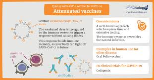 It's what's known as a protein subunit vaccine. Types Of Vaccines For Covid 19 British Society For Immunology