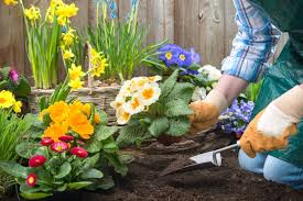 Consultez nos 1626 annonces de particuliers et professionnels sur leboncoin. Calendrier Des Travaux De Jardinage Par Mois Et Par Saison