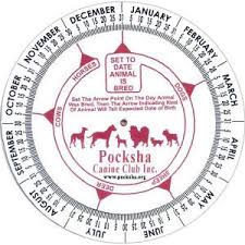 animal gestation calculation wheel promotional product