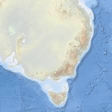 Image result for Eschenbachia