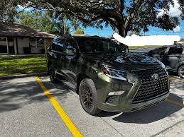 Image result for Nori Green 2023 UX