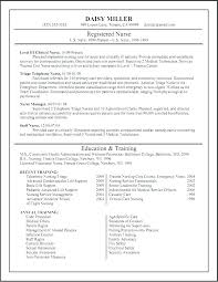 Icu Nurse Resume Examples 2019 Lebenslauf Vorlage