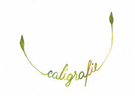 Dati click pe butonul download din partea dreapta a paginii si salvati fisierul.zip pe calculator. CreÈ™tem Litere Frumoase Intre 25 Iunie Academia Motanov Facebook