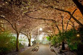 Burrard SkyTrain Station