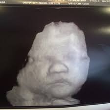 Pediatrics coursework completed for C6