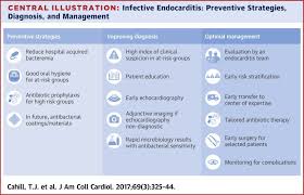 The cause of endocarditis may be viral, fungal, or most acute care management. Challenges In Infective Endocarditis Sciencedirect