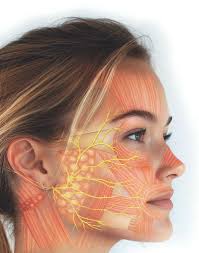 CIRUGÍAS DEL NERVIO FACIAL Y QR.O,Cl;DIMIENJ.OS   ·.