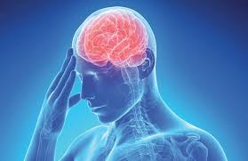 Find what is a thrombosis right now at options.xyz! Sanidad Publica Un Documento Sobre Manejo De Caso De Trombosis De Senos Venosos Cerebrales