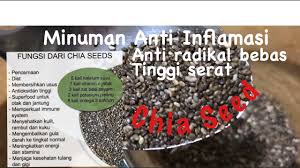 Pernah jadi bumil beberapa th lalu, tp alhamdulillah gak sampe ngerasain morning sick di trisemester awal yg katanya menyiksa. Cara Membuat Minuman Chia Seed Anti Inflamasi Jsr Dr Zaidul Akbar Youtube