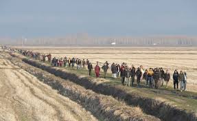 رئيس صربيا بلادنا لن تتحول إلى ساحة انتظار للاجئين الراغبين بالوصول إلى أوروبا الغربية مهاجر نيوز