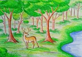 Their genuine surprise and appreciation for their special gift is so heartwarming. 20 Inspiration Forest Scenery Easy Simple Forest Drawing With Animals Beads By Laura