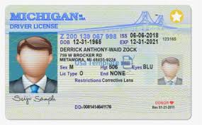 Hardware drivers category page microsoft download center microsoft 365 premium office apps, extra cloud storage, advanced security, and more—all in one convenient subscription Michigan Driver License Template Michigan Enhanced Drivers License Hd Png Download Kindpng