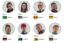 Big Brother Africa: The Chase Is On! | Teakisi
