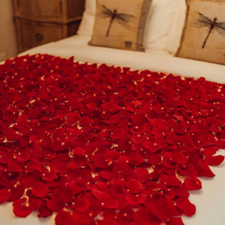 Bed of Roses – The O:live Experience