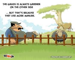 The Grass Is Always Greener On The Other Side Cartoon The Other Grass Funny Quote Cartoon Grass Animals And Pets Funny Animals