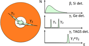 A wide range of beta emitting nuclides are offered for counting and educational uses. Beta Decay Studies For Applied And Basic Nuclear Physics Springerlink