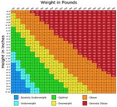 Bmi Calculator Dietportal Co Uk