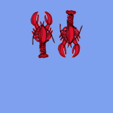 We did not find results for: Lobster Gifs Tenor