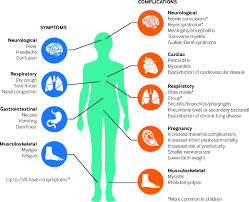 On average, people are contagious 24 hours before symptoms appear for. Influenza The Bmj