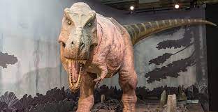 Dinosaurs Natural History Museum