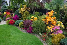 Dream yard is always looking for some inspirational and creative ways to border your yards and garden beds. Side Border Late Spring Azalea Flowers Garden Shrubs Garden Borders Flower Garden Borders