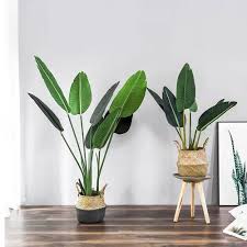 Travelers Palm Bird Of Paradise Artificial Travelers Paml Tree Faux Bird Of Paradise Plants Birds Of Paradise Plant Indoor Bonsai Tree Trees To Plant