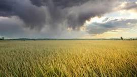 Calm in the Face of the Storm | Grounded Leadership